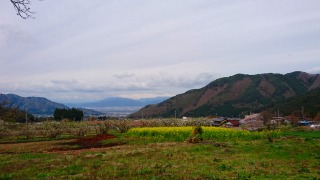 田園の画像