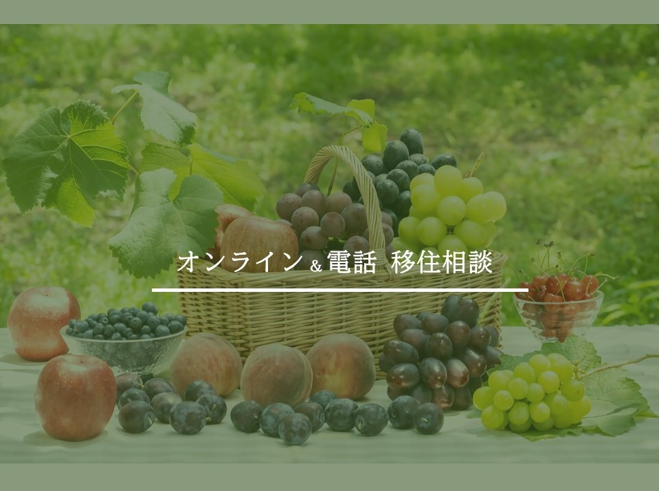 電話やオンラインでの移住相談をご利用ください