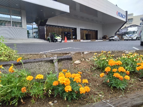 株式会社サンジュニア