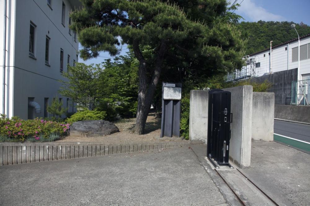 日中に撮影された、白い建物と大きな松の木の横に、コンクリートの壁があり、道路と敷地の境界には石と草木が配置された広場の風景写真。