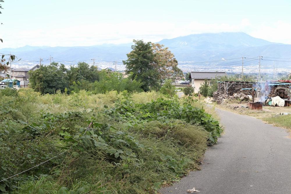 遠方には市街地と山々が広がるのどかな風景が見える場所で、雑草が生い茂る空き地と坂道が写されている米持天神古墳群の一部である天神2号墳の跡地を写した写真