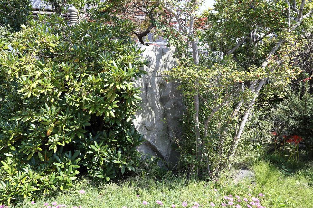 雑木林と生い茂る低木の中に、大日堂跡地の遺構とみられる角の取れた大きな自然石が隠れるように立っており、手前の地面には小花が咲いている大日堂跡地を写した写真