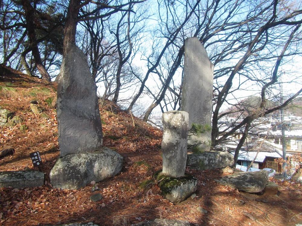 冬枯れの木々に囲まれた見晴らしの良い小高い丘に、表面に複雑な模様が刻まれた二つの大きな石碑と、中央に短い円柱状の石造物が立つ、歴史的な遺跡の風景写真。