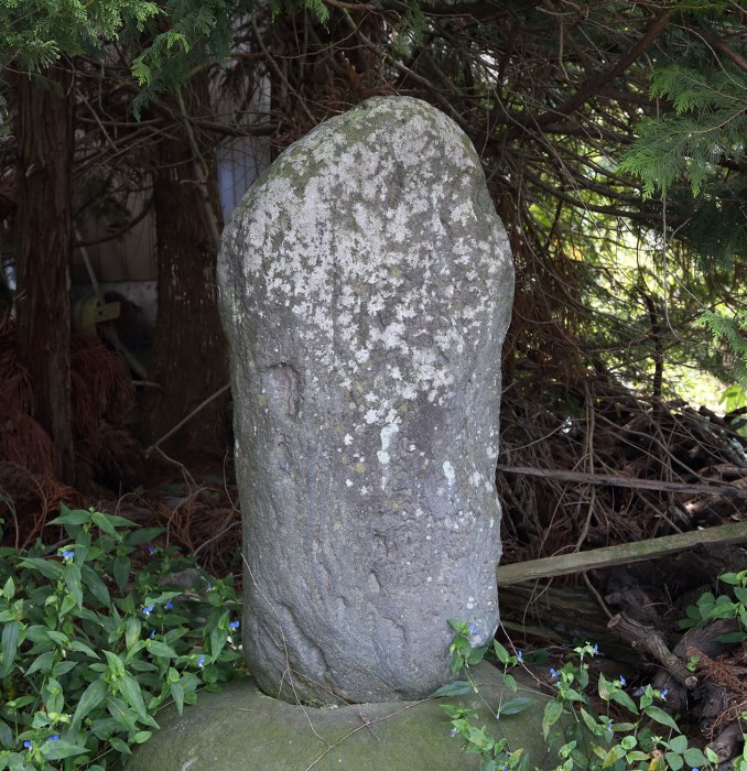 苔と地衣類が上部に付着した背の高い自然石の石碑が、下部の丸い石の台座の上にしっかりと建ち、周囲を針葉樹の濃い緑の枝葉と小さな青い花をつけた草木に囲まれている写真