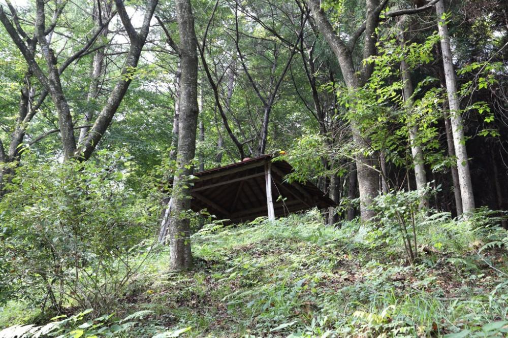 急な斜面の深い緑の雑木林の中に、茶色い屋根と木製の柱を持つあずまやが建っている写真