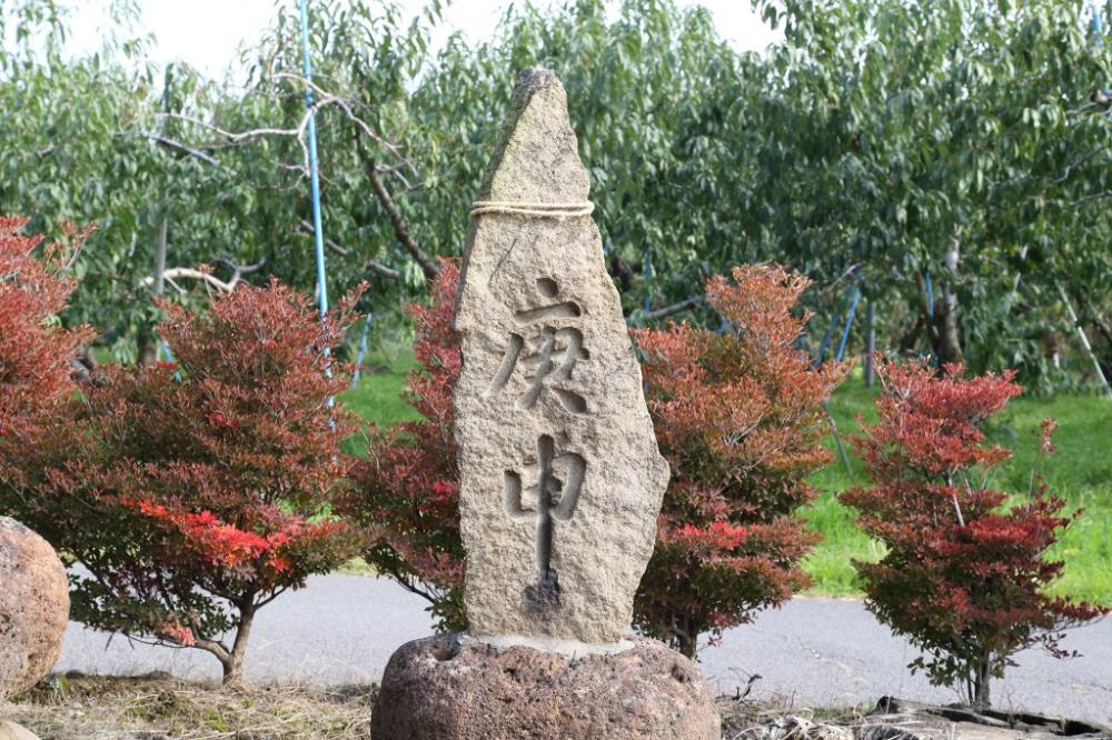 緑の木々が並ぶ果樹園を背景に、表面に「庚申」という文字が縦に深く刻まれた自然石の石塔の写真